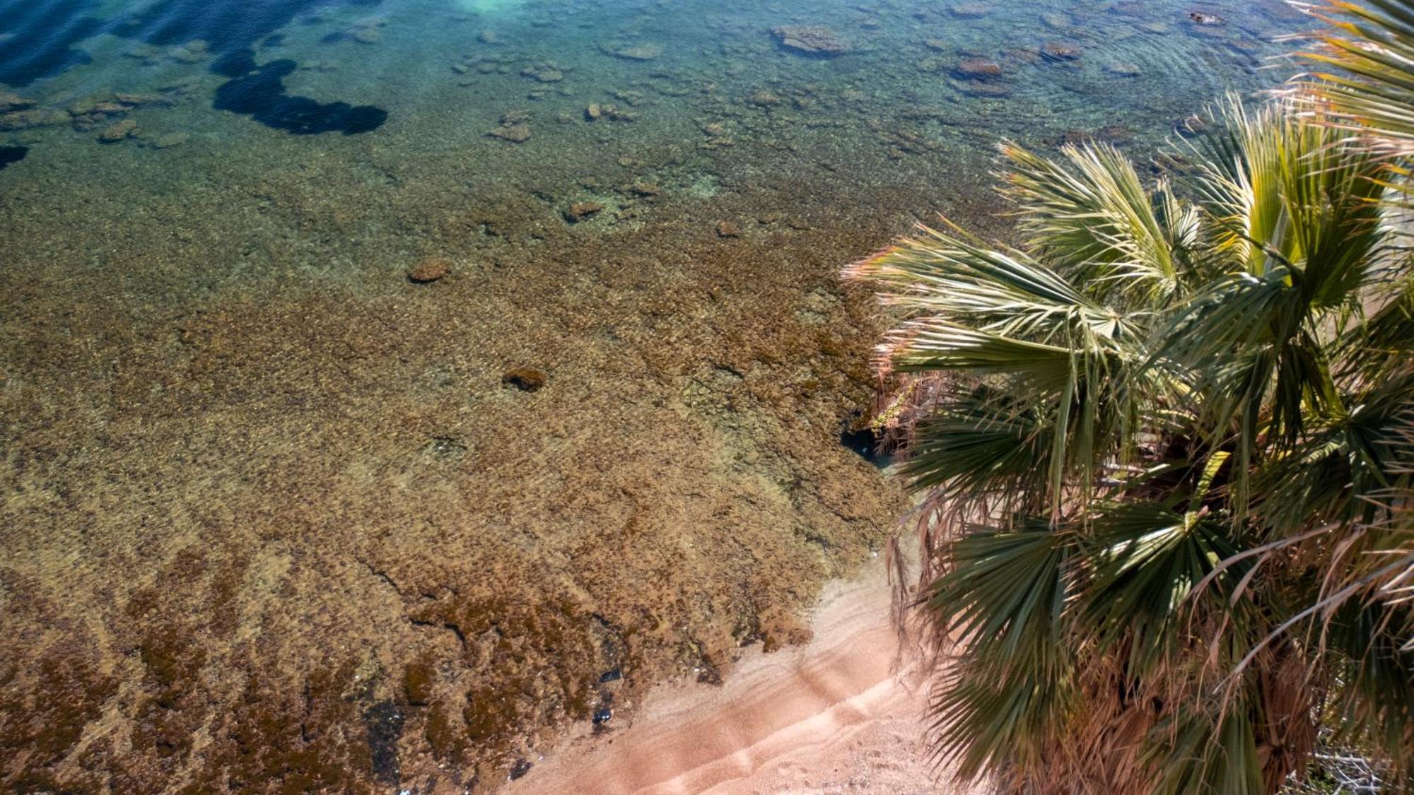 La Casetta Sul Mare Castellammare del Golfo Ngoại thất bức ảnh
